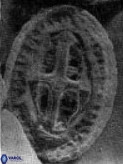 Acaenolithus cenomanicus 5933