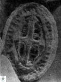 Acaenolithus cenomanicus 5933