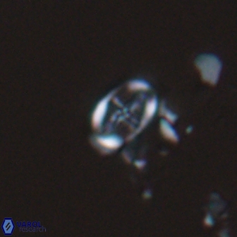 Acaenolithus dempta 15164