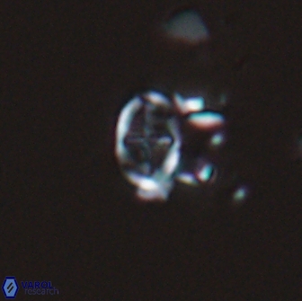 Acaenolithus dempta 15162