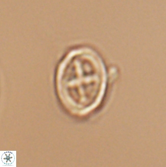 Bownia mutterlosei 11082