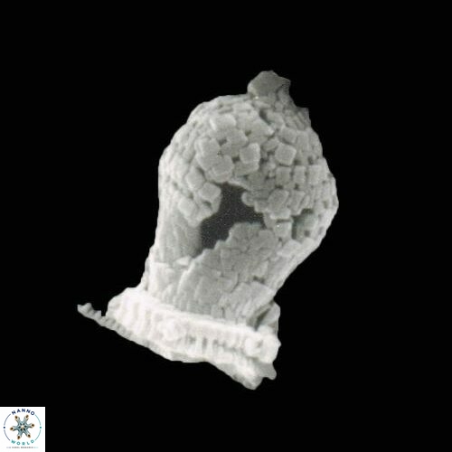 Blackites morionum S14 8 sile
