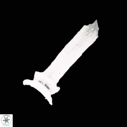 Blackites truncatus S4 10