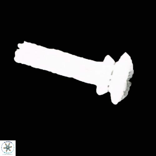 Blackites truncatus S8 3
