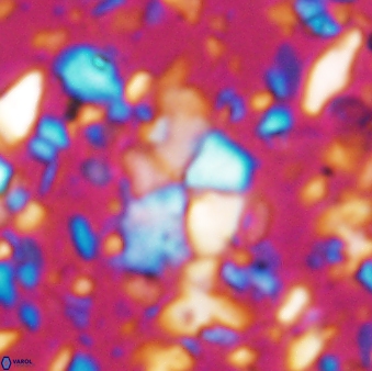 Braarudosphaera akanonistos 7549