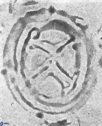 01 No photo available