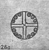 Chiphragmalithus cristatus 1968