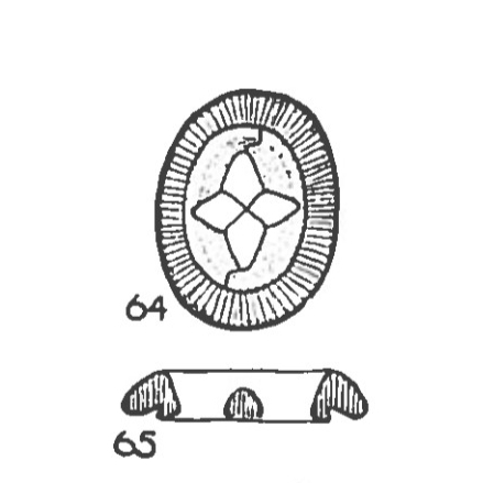 Cruciplacolithus tenuis 21705