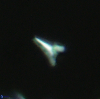 Ceratolithoides aculeus 3936