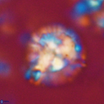 Chontriemfanisi apomnemoneumus 21796