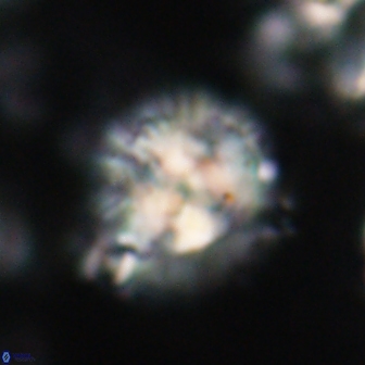 Chontriemfanisi apomnemoneumus 21797