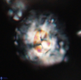 Chontriemfanisi apomnemoneumus 23773