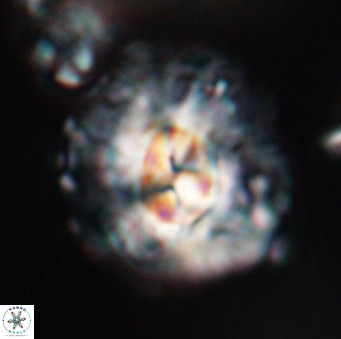 Chontriemfanisi apomnemoneumus 23773