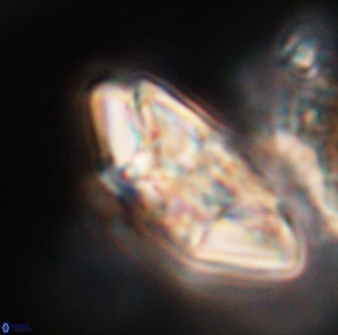 Chontriemfanisi apomnemoneumus 23785