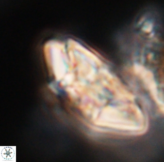 Chontriemfanisi apomnemoneumus 23785