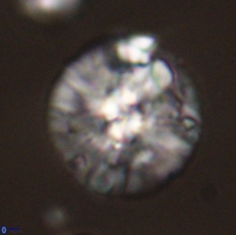 Chontriemfanisi apomnemoneumus 59359