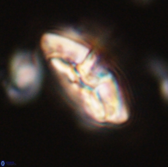 Chontriemfanisi apomnemoneumus 59376
