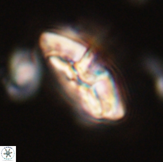Chontriemfanisi apomnemoneumus 59376