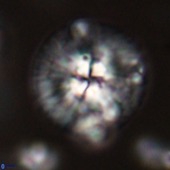 Chontriemfanisi apomnemoneumus 59380