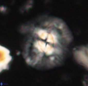 Chontriemfanisi apomnemoneumus 61370