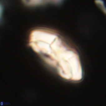 Chontriemfanisi apomnemoneumus 69513