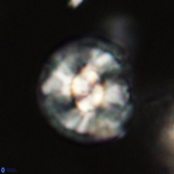 Chontriemfanisi apomnemoneumus 69524