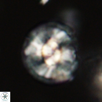 Chontriemfanisi apomnemoneumus 69524