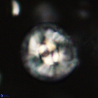 Chontriemfanisi apomnemoneumus 69527