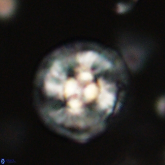 Chontriemfanisi apomnemoneumus 69531