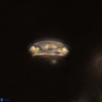 Cruciplacolithus intermedius VR 01349