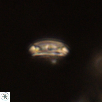 Cruciplacolithus intermedius VR 01349