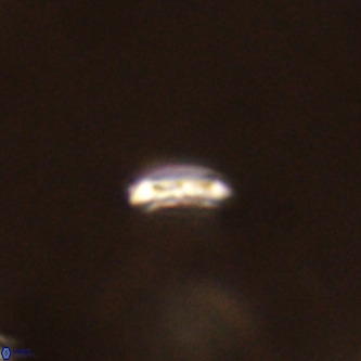 Cruciplacolithus primus VR 01398