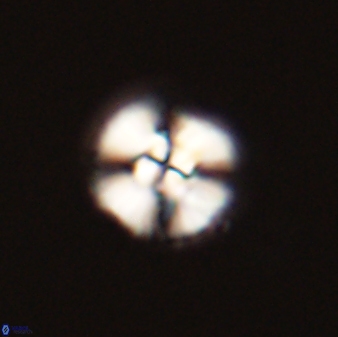 Cyclagelosphaera tetracycla 58449