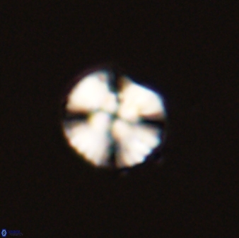 Cyclagelosphaera tetracycla 58450