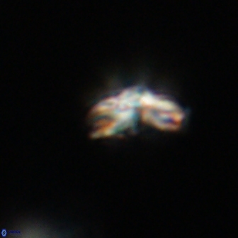 Cyclagelosphaera tetracycla 64251