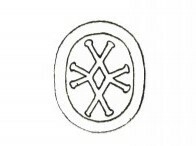 Ahmuellerella octoradiata 3888