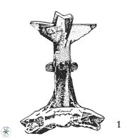Prediscosphaera spinosa 35731
