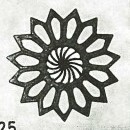 Discoaster splendidus 58251