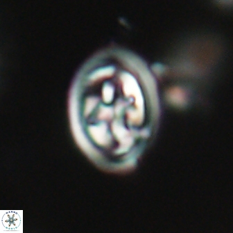 Derivanturportantes krimmenostavro 65645