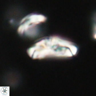 Derivanturportantes krimmenostavro 65673