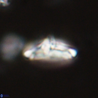 Derivanturportantes krimmenostavro 67126