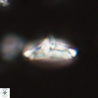 Derivanturportantes krimmenostavro 67126
