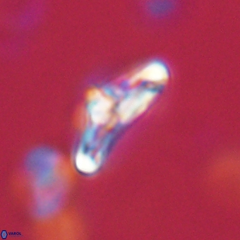 Derivanturportantes krimmenostavro 67128