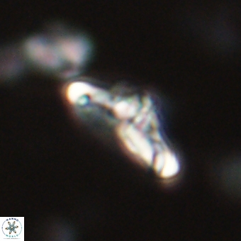 Derivanturportantes krimmenostavro 67130