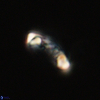 Derivanturportantes krimmenostavro 69376