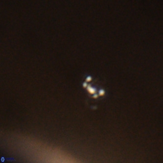 Didimospyrgos inciae VR 00283