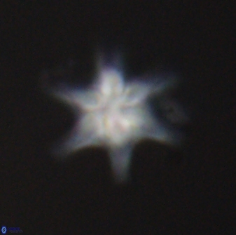 Discoaster musicus 32771