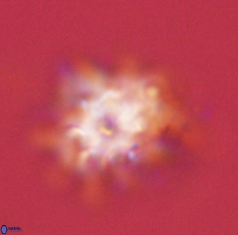 Discoaster akinolgunii 57392