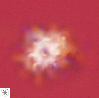 Discoaster akinolgunii 57392
