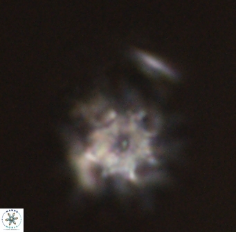 Discoaster akinolgunii 57402